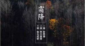 霜降茶语：秋读西厢伴美人