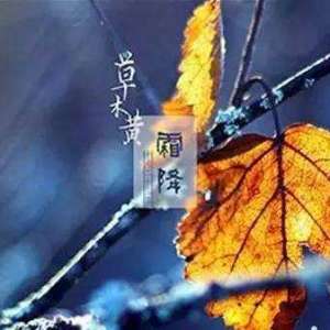 霜降并非霜从天降，霜降防霜冻