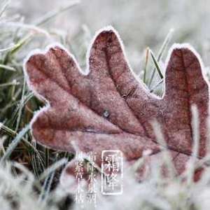 霜降不割禾，一天少一箩