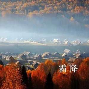 “千树扫作一番黄，只有芙蓉独自芳”——霜降