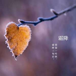 霜降茶语：霜降幽林沾惠若