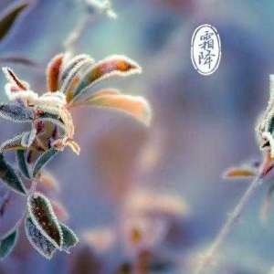 “千树扫作一番黄，只有芙蓉独自芳”