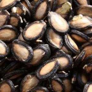 瓜子仁有什么营养价值 瓜子的正确食用方法揭秘