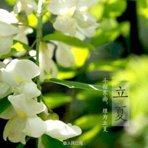 民间立夏各地吃的习俗