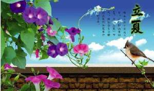 天地气交立夏时