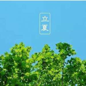 立夏插杨柳撒灶灰的由来