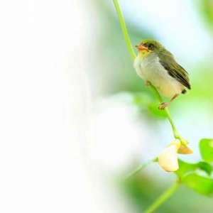 立夏吃咸鸭蛋
