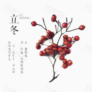 时已立冬——进入寒冷