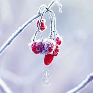 什么是小寒节气