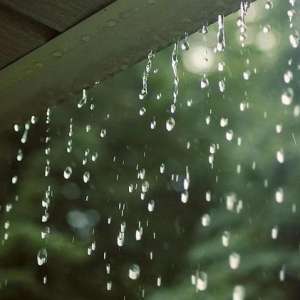 雨水节气到，风雨送春归
