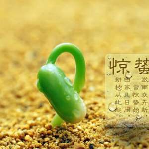 惊蛰的含义是什么惊蛰的意思 惊蛰节气简介