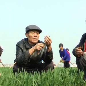 李连成：农民的“八个梦想”逐步实现 乡村振兴西辛庄要这样干