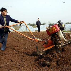 种地不挣钱，打工没人要，农民的出路在哪里？
