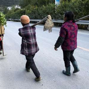 农民种地的成本越来越高，粮价却不见大涨，这样下去种地亏本吗？