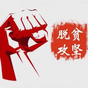 习近平：坚决克服新冠肺炎疫情影响 坚决夺取脱贫攻坚战全面胜利