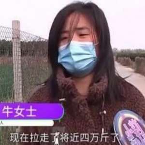防骗：买5万斤大葱，交完26000后，葱却拉不走了