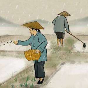 谷雨的概念