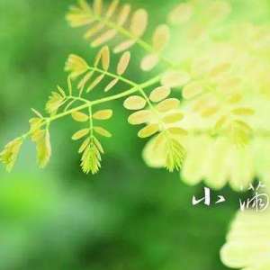 小满节气概述