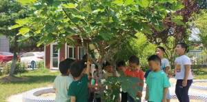 节气文化话小暑
