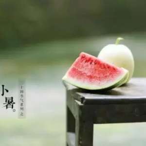 小暑-藏伏是一种人生智慧,24节气