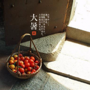 二十四节气之大暑