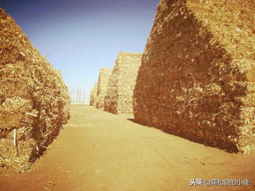 「怪谈」怪异两三事